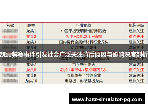 魏震禁赛事件引发社会广泛关注背后原因与影响深度剖析