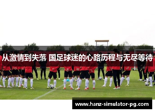 从激情到失落 国足球迷的心路历程与无尽等待