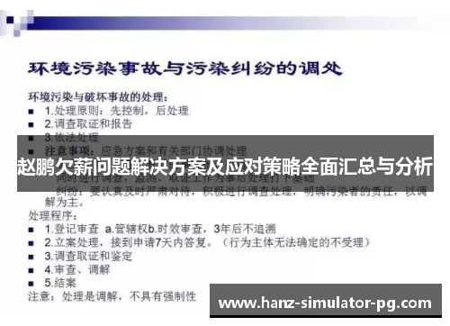 赵鹏欠薪问题解决方案及应对策略全面汇总与分析 赵鹏欠薪问题解决方案及应对策略全面汇总与分析