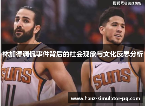 林加德调侃事件背后的社会现象与文化反思分析