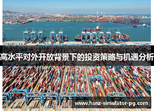 高水平对外开放背景下的投资策略与机遇分析