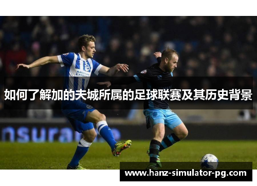 如何了解加的夫城所属的足球联赛及其历史背景